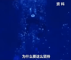 快手刷播放平台_www.zlttyq.com_QQ相关_我爱网址导航