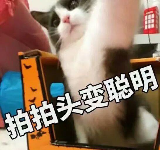 刷快手双击播放在线平台免费蚂蚁 刷快手双击播放在线平台免费蚂蚁