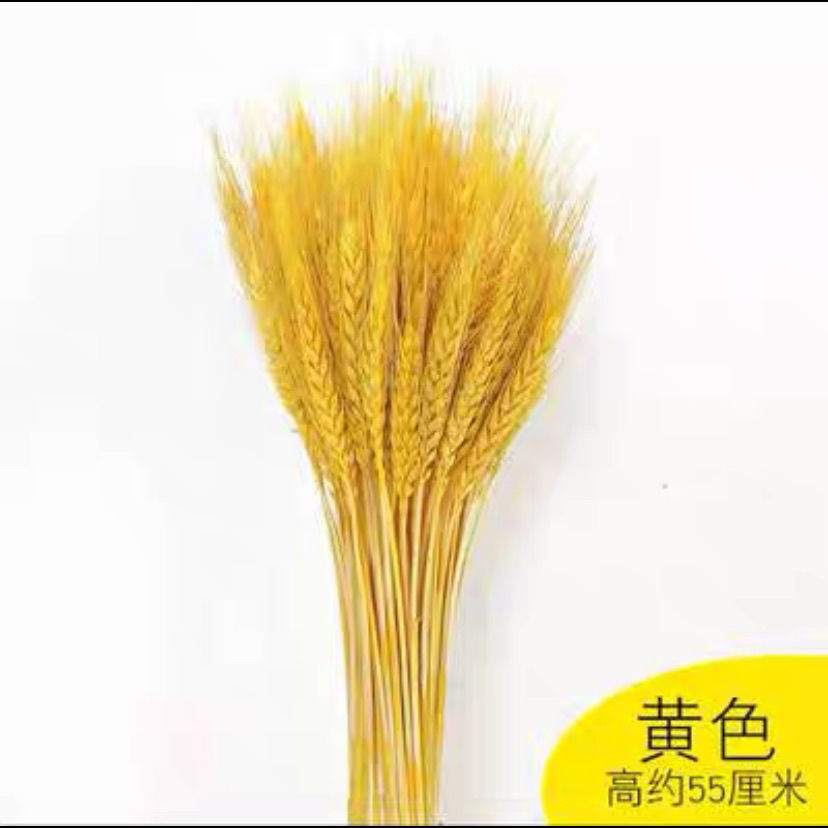 SN代刷-全网最低自助下单平台,QQ代刷网,24小时自助下单平台-爱投网的简单介绍 SN代刷-全网最低自助下单平台,QQ代刷网,24小时自助下单平台-爱投网的简单介绍